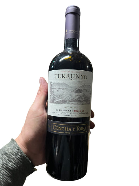 Terrunyo Carménère 2011
