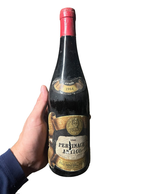 Pertinence Antico 1964