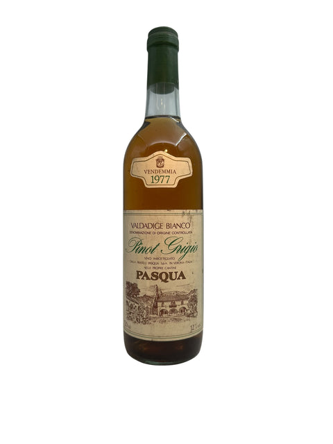 Bouteille de vin blanc Pinot Grigio Pasqua 1977