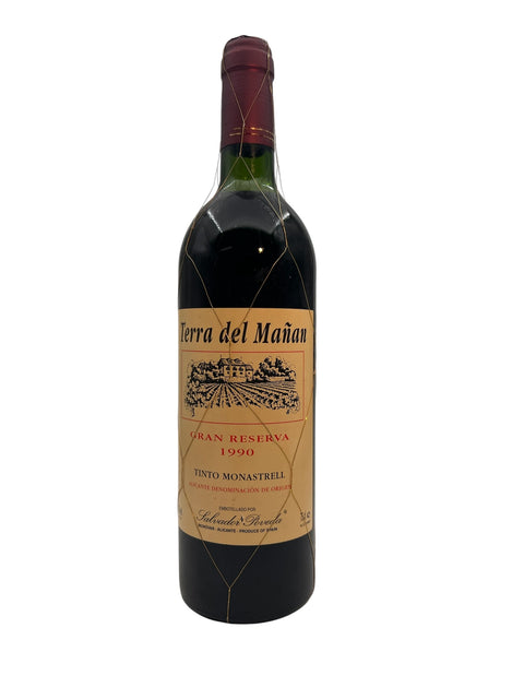 Bouteille de vin Terra del Mañana 1990 Gran Reserva